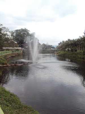 DSC02686 - Passeio de Trem – Curitiba / Morretes