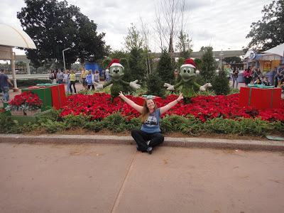 34 - 3º Dia – Orlando 05/01/2011 (Epcot)