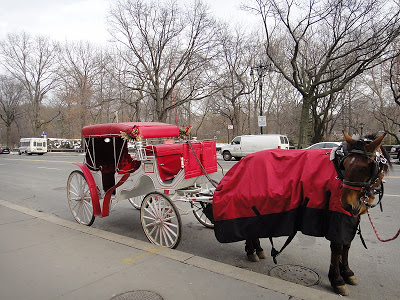 DSC00805 - 9º Dia – New York 11/01/2011 (Museu Guggenheim, Metropolitan Museum of Art, Central Park e Museu de História Natural)