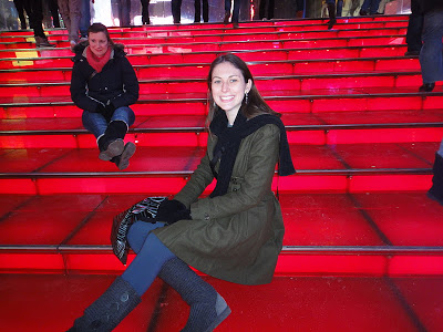 DSC01054 1 - 12º  Dia - New York 14/01/2011 (Central Park Zoo, Soho e Top of the Rock)