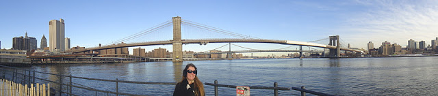 DSC01126 - 8º Dia – 10/01/2011 -  New York (Estátua da Liberdade, Wall Street e Pier 17)