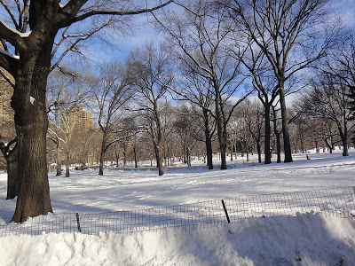 DSC01765 - 12º  Dia - New York 14/01/2011 (Central Park Zoo, Soho e Top of the Rock)