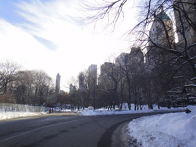 DSC01767 - 12º  Dia - New York 14/01/2011 (Central Park Zoo, Soho e Top of the Rock)