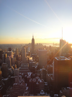 DSC01790 - 12º  Dia - New York 14/01/2011 (Central Park Zoo, Soho e Top of the Rock)