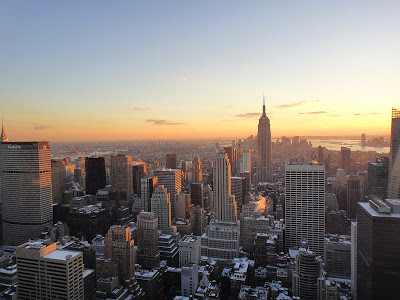 DSC01827 - 12º  Dia - New York 14/01/2011 (Central Park Zoo, Soho e Top of the Rock)