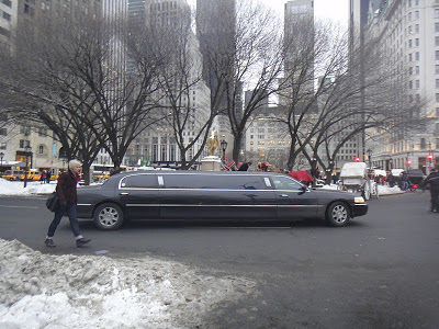 DSC01918 - 13º e último Dia - New York 15/01/2011