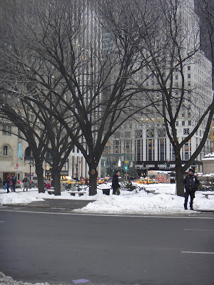 DSC01920 - 13º e último Dia - New York 15/01/2011