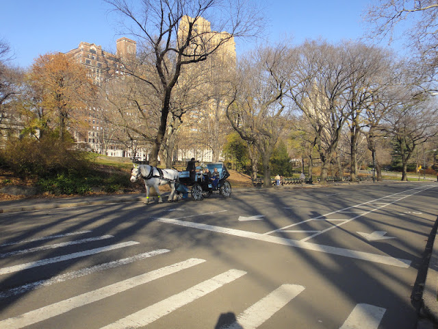 CRIS3056 - Central Park