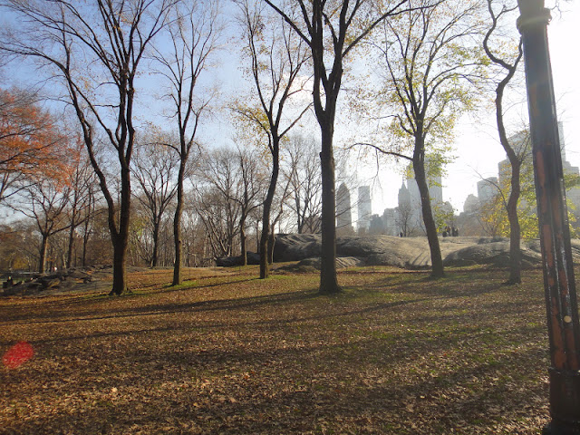 CRIS3098 - Central Park