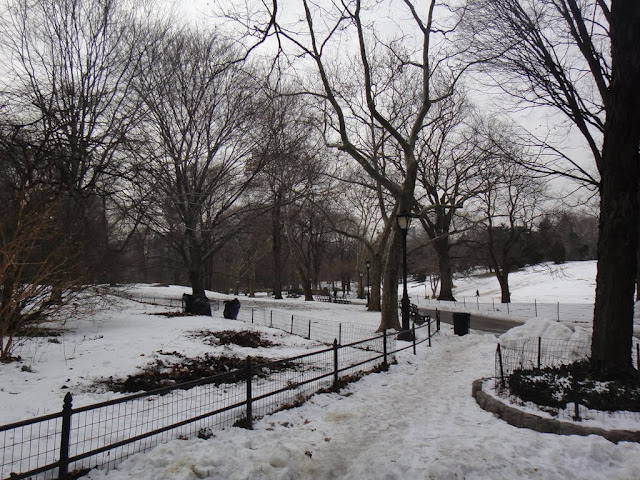 DSC01226 - Central Park