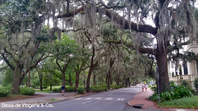 Road trip Estados Unidos: 6º Dia –  Jacksonville > Savannah