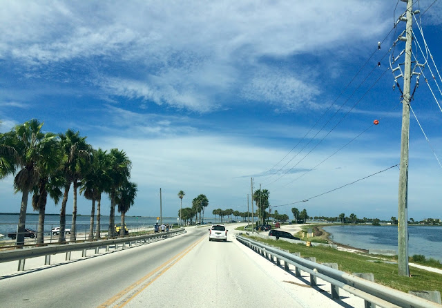 image1 - Road Trip Estados Unidos: 12º Dia - Honeymoon Island/Clearwater