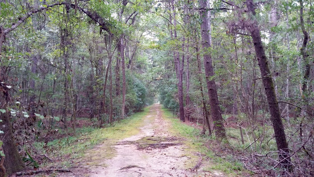 image12B252812529 8 - Road trip Estados Unidos: Caw Caw Interpretive Center - Ravenel/Carolina do Sul