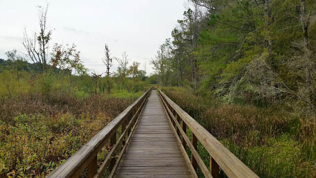 image12B252822529 2 - Road trip Estados Unidos: Caw Caw Interpretive Center - Ravenel/Carolina do Sul