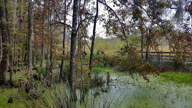 image12B252842529 - Road trip Estados Unidos: Caw Caw Interpretive Center - Ravenel/Carolina do Sul