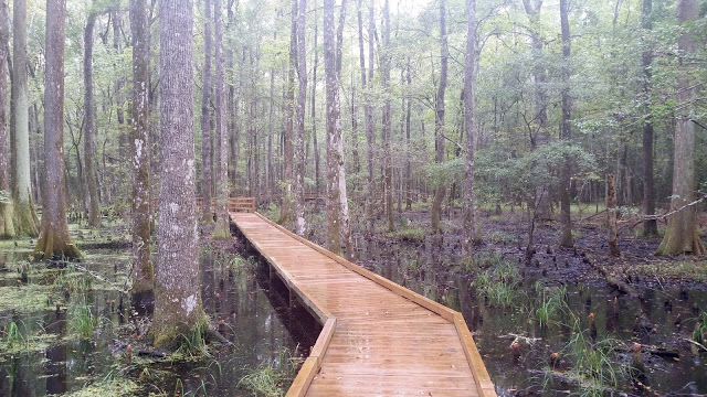 image2 16 - Road trip Estados Unidos: Caw Caw Interpretive Center - Ravenel/Carolina do Sul