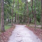 Road trip Estados Unidos: Caw Caw Interpretive Center – Ravenel/Carolina do Sul