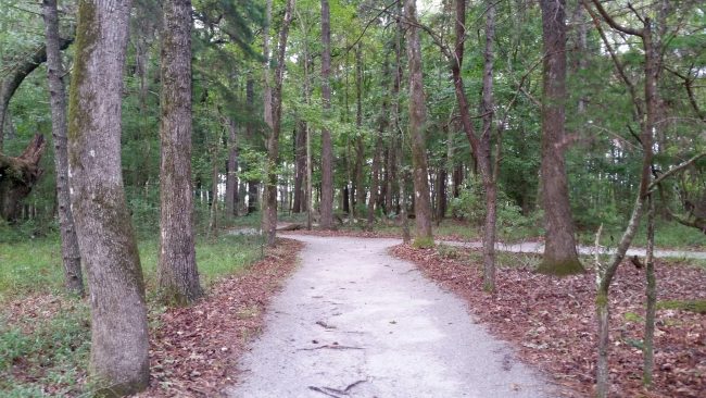 Road trip Estados Unidos: Caw Caw Interpretive Center – Ravenel/Carolina do Sul