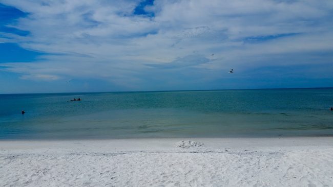 Road Trip Estados Unidos: 12º Dia – Honeymoon Island/Clearwater