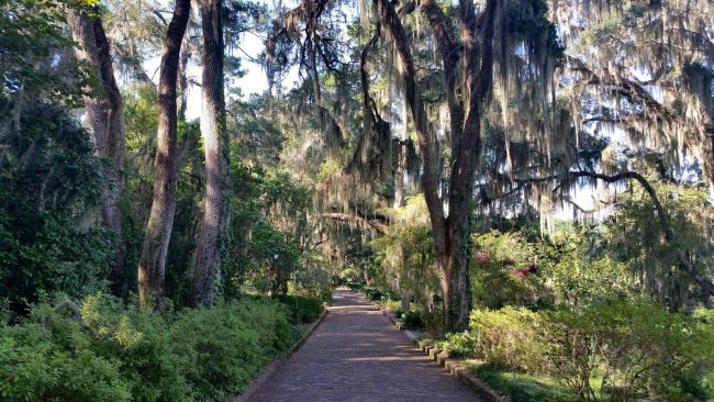 Road trip Estados Unidos: 10º Dia – Tallahassee