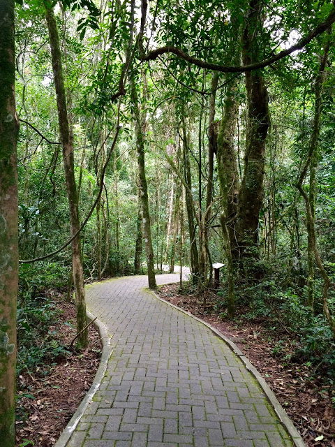 image22B252812529 3 - Bondinhos aéreos em Canela/RS - Parques da Serra