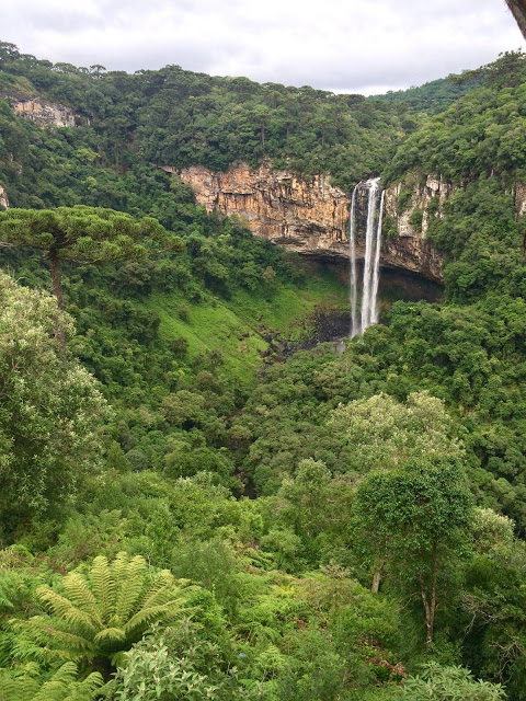 image32B252812529 1 - Bondinhos aéreos em Canela/RS - Parques da Serra