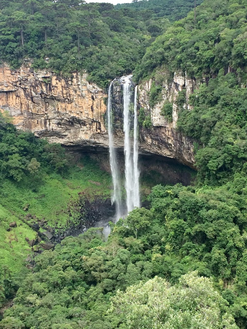 image42B252812529 2 - Bondinhos aéreos em Canela/RS - Parques da Serra