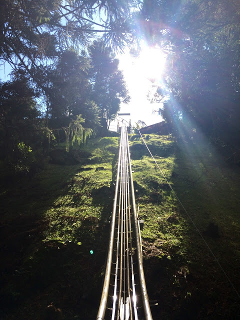 image1 2 - Alpen Park - Diversão com adrenalina na Serra Gaúcha