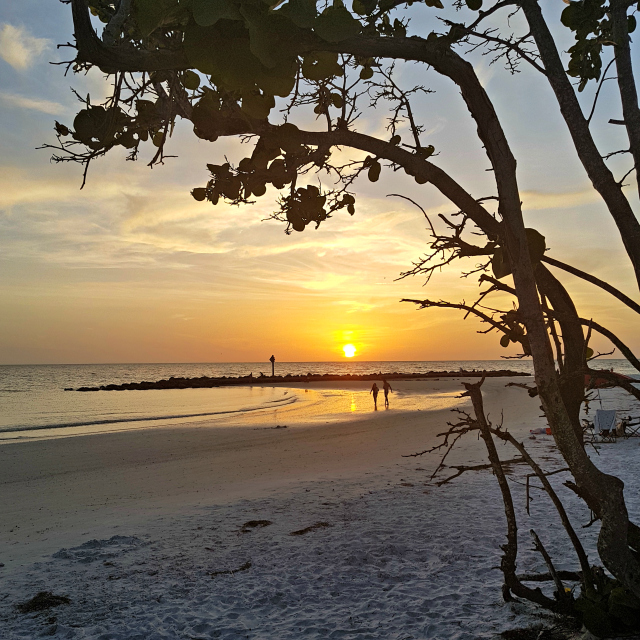Honeymoon Island Florida Golfo do México - 6 praias paradisíacas para você conhecer na Flórida