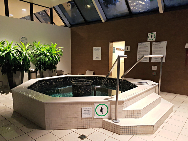 Le Centre Sheraton Montreal Hotel Hidro - Hotel em Montreal: Le Centre Sheraton Montreal Hotel