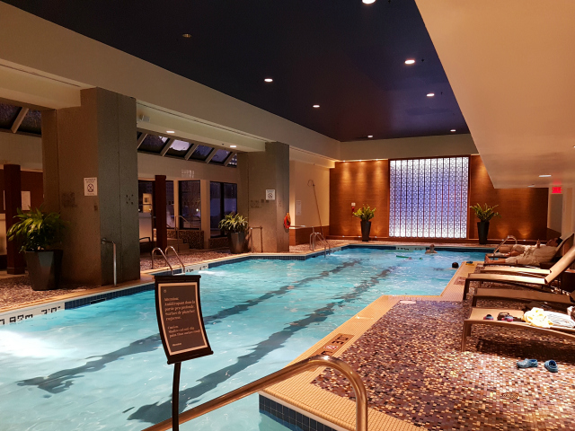 Le Centre Sheraton Montreal Hotel Piscina - Hotel em Montreal: Le Centre Sheraton Montreal Hotel