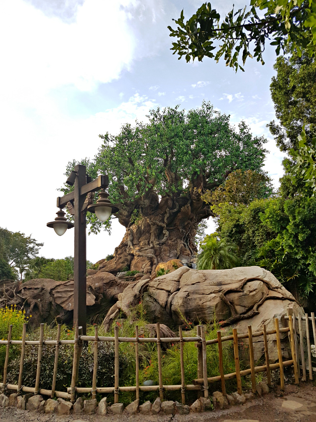 Disney Animal Kingdom - O que fazer em um dia na Disney?