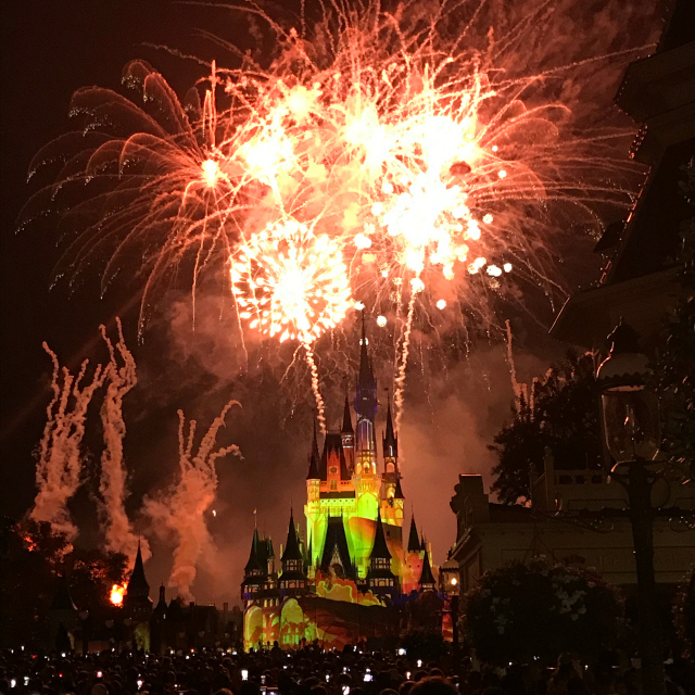 Happily Ever After Disney Magic Kingdom Show Encerramento - O que fazer em um dia na Disney?