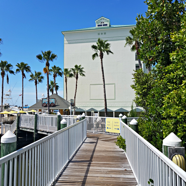 Holiday Inn Hotel Suites Clearwater Beach S Harbourside Indian Rocks Florida Entrada Direta Splash Harbour - Um Hotel para relaxar na Flórida: Holiday Inn & Suites Clearwater Beach S-Harbourside