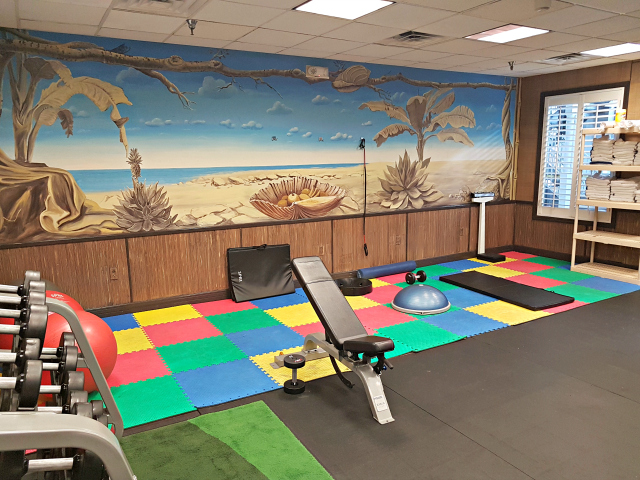 Holiday Inn Hotel Suites Clearwater Beach S Harbourside Indian Rocks Florida Gym - Um Hotel para relaxar na Flórida: Holiday Inn & Suites Clearwater Beach S-Harbourside