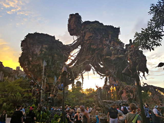 Pandora World Avatar Disney Animal Kingdom - O que fazer em um dia na Disney?