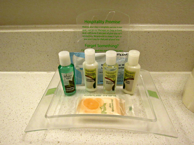 Holiday Inn Hotel Suites Tampa North Busch Gardens Area Amenities - Hotel próximo ao Busch Gardens‎: Holiday Inn Hotel & Suites Tampa North