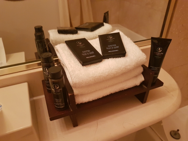 Grand Hotel Toronto Amenities - Hotel em Toronto: Grand Hotel Toronto