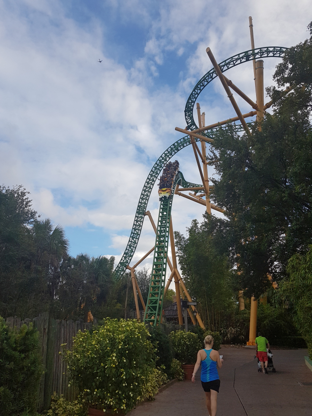 Busch Gardens Tampa Cheetah Hunt - O Parque mais Radical da Flórida: Busch Gardens