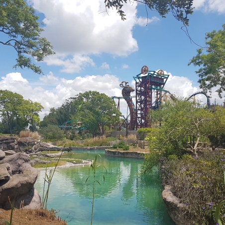 O Parque mais Radical da Flórida: Busch Gardens