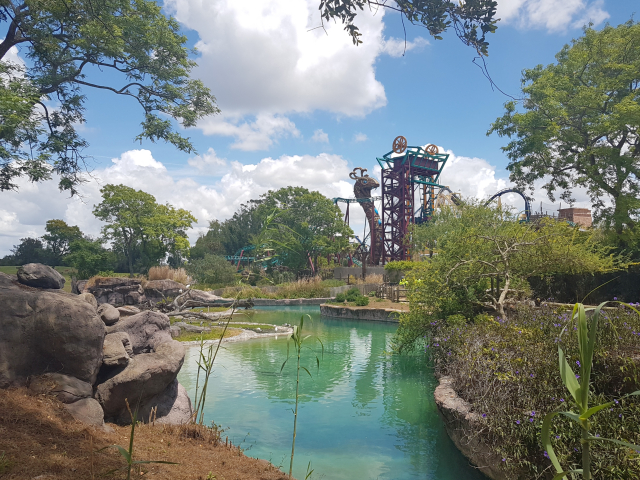 Busch Gardens Tampa Cobras Curse - O Parque mais Radical da Flórida: Busch Gardens
