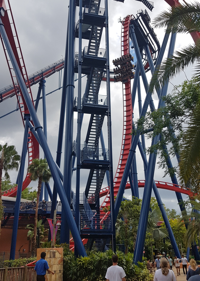 Busch Gardens Tampa Sheikra Montanha Russa - O Parque mais Radical da Flórida: Busch Gardens