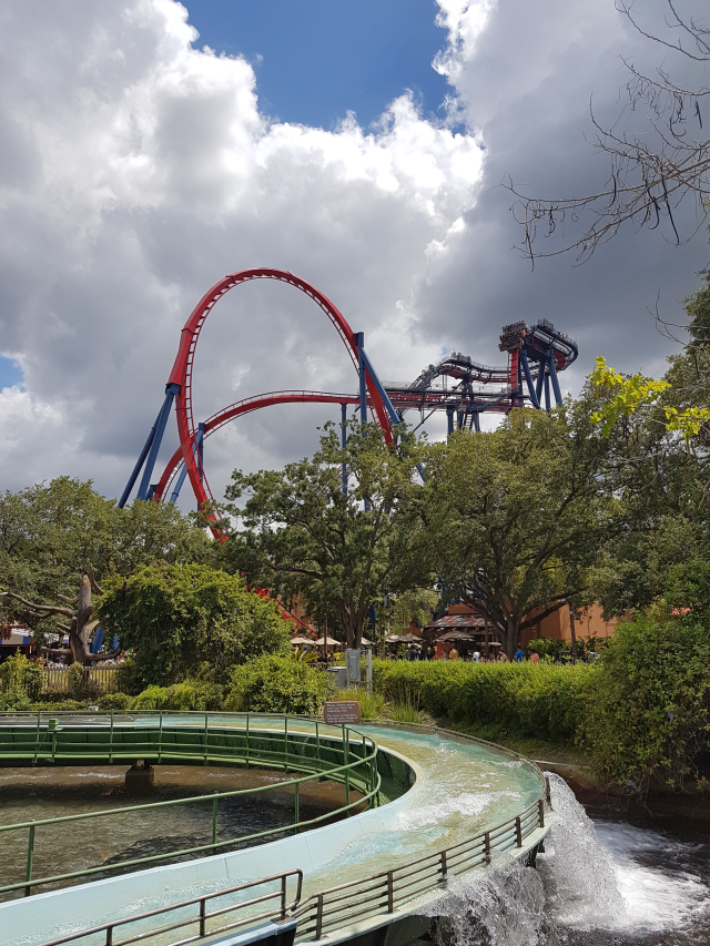 Busch Gardens Tampa Sheikra - O Parque mais Radical da Flórida: Busch Gardens