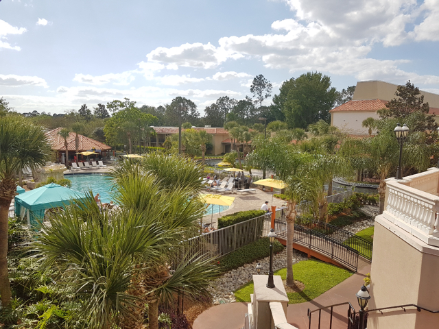 DoubleeTree by HIlton Hotel Orlando at SeaWorld Piscina - Hotel em Orlando: DoubleTree by Hilton Hotel Orlando at SeaWorld