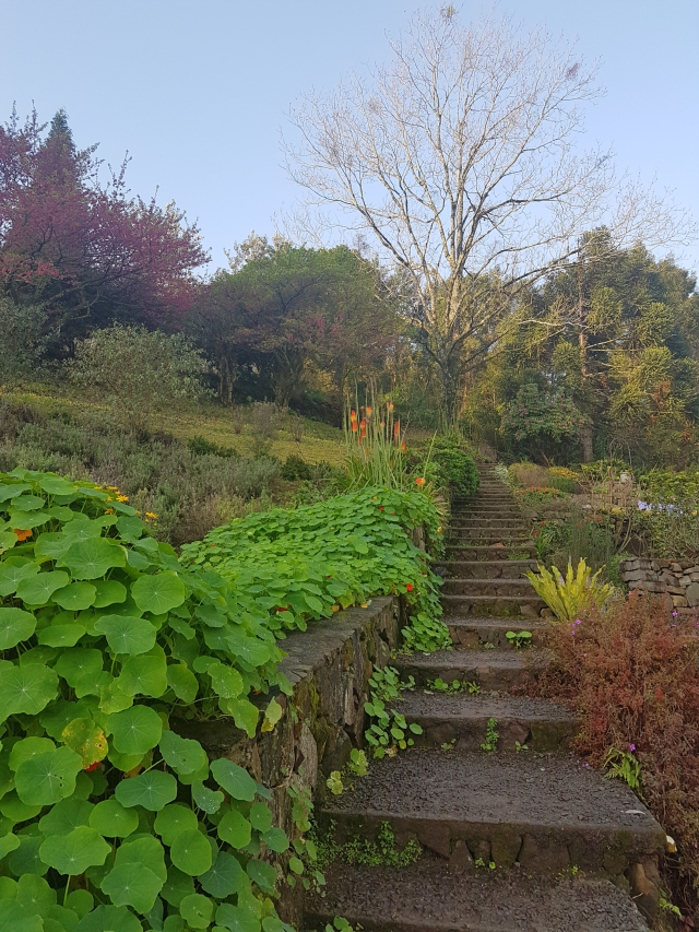 Mini roteiro serra Gramado Le jardin - Um final de semana na Serra Gaúcha