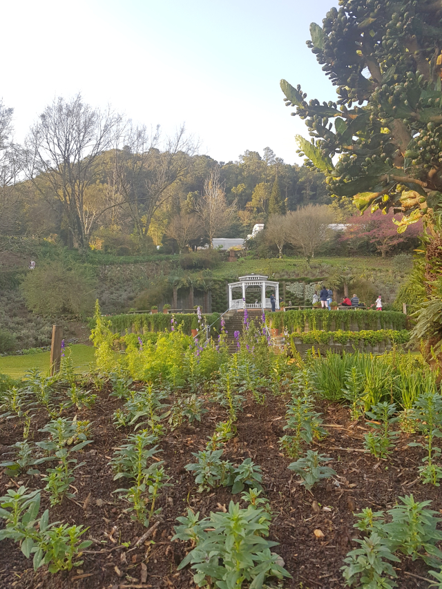 Mini roteiro serra gaucha Le jardin gramado detalhes - Um final de semana na Serra Gaúcha